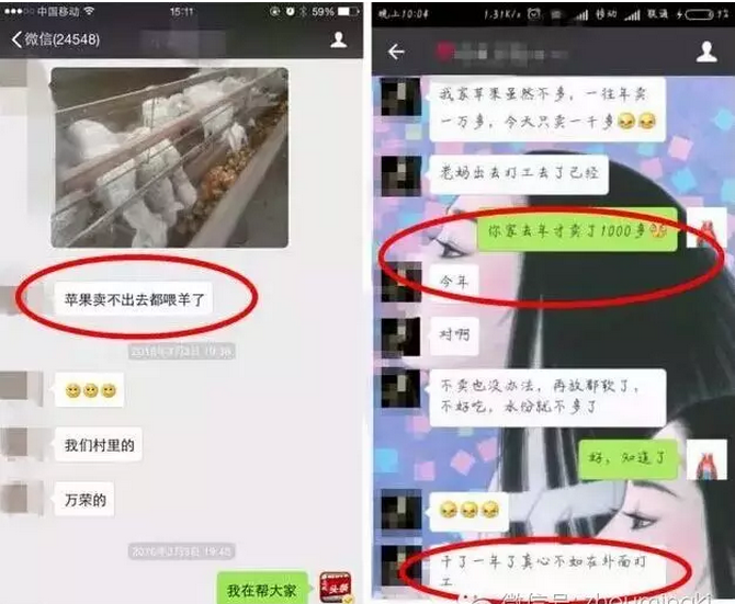 QQ图片20160613102031.png
